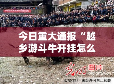 今日重大通报“越乡游斗牛开挂怎么使用的”开挂神器
