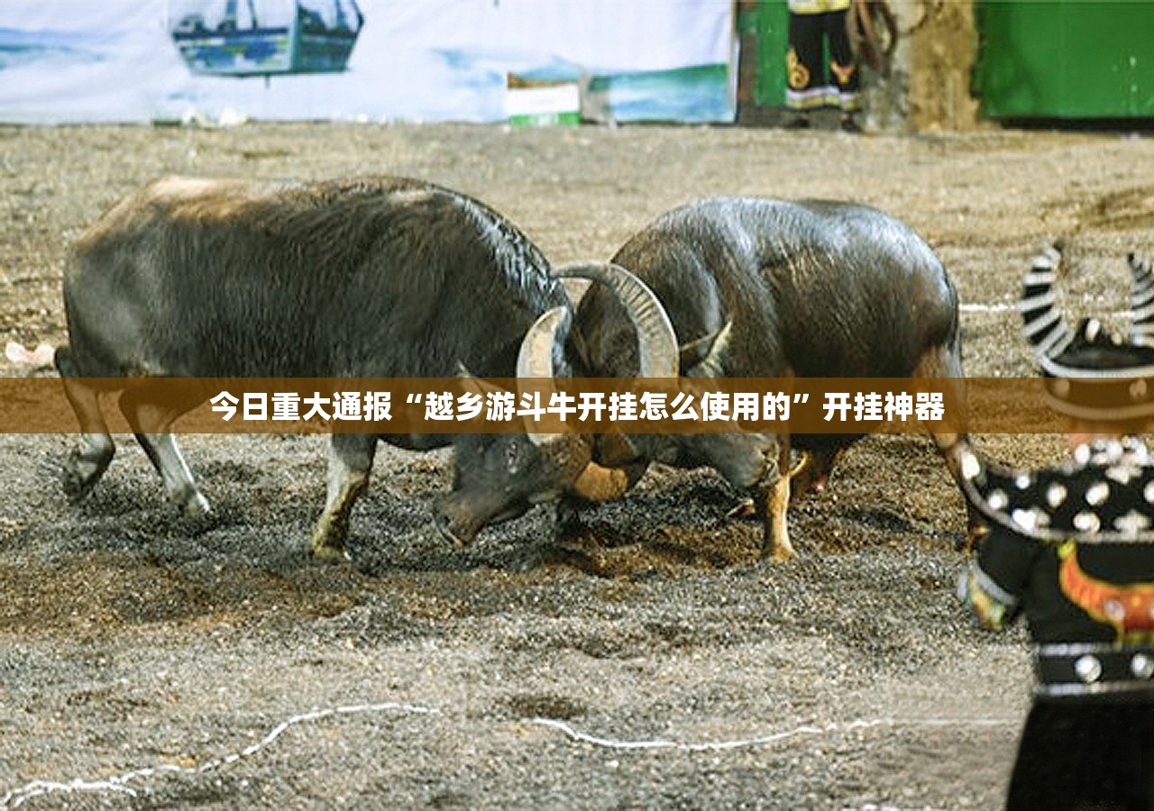 今日重大通报“越乡游斗牛开挂怎么使用的”开挂神器