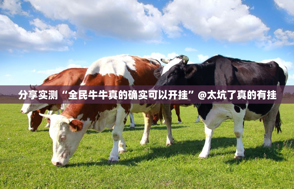 分享实测湖南骨牌怎么开挂果然有挂