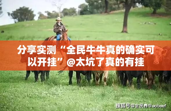 重磅.来袭全民雀神真的有挂确实有挂分享真的有挂给你 重磅.来袭全民雀神真的有挂确实有挂分享真的有挂给你