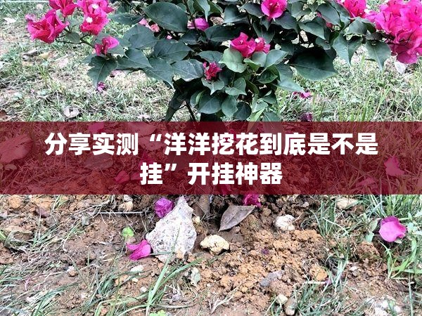 分享实测盛世2到底有没有挂分享真的有挂给你 分享实测盛世2到底有没有挂分享真的有挂给你