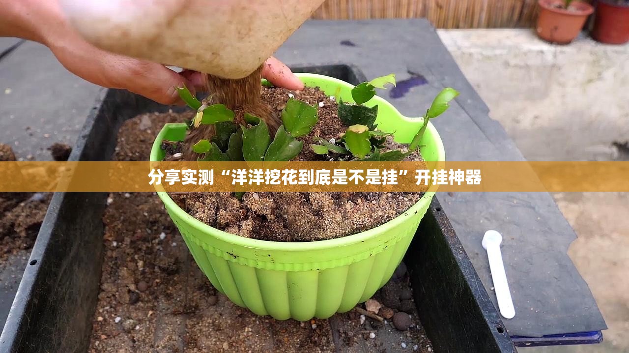 今日重大通报金牛有挂没有√确实真的有挂