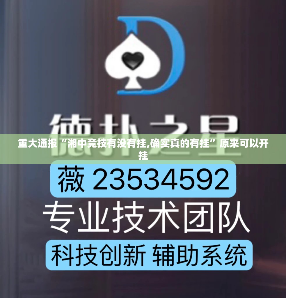 重磅.来袭丰城双剑可以开挂吗!2025（果然有挂）