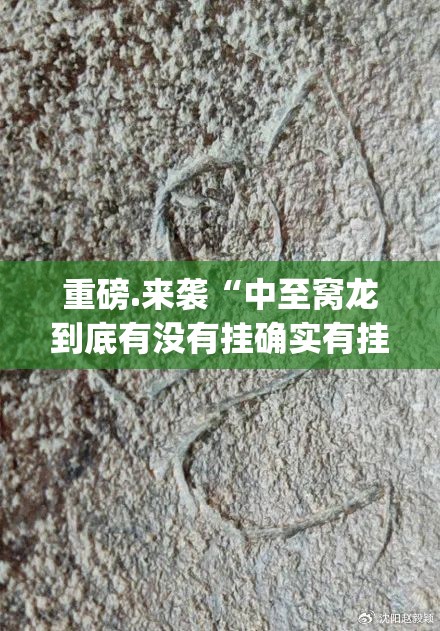 重大通报鲨鱼扑克如何开挂确实真的有挂