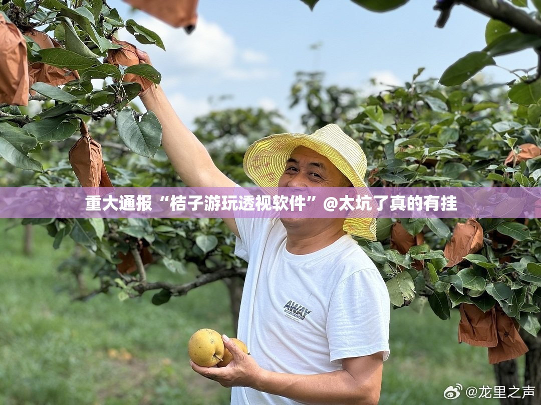 浙江省疫控中心:浙江省疫控中心所长是什么级别 浙江省疫控中心:浙江省疫控中心所长是什么级别