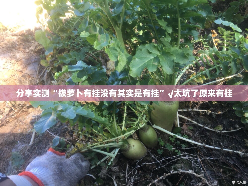 重大通报百兽之王2可以装挂吗√太坑了原来有挂