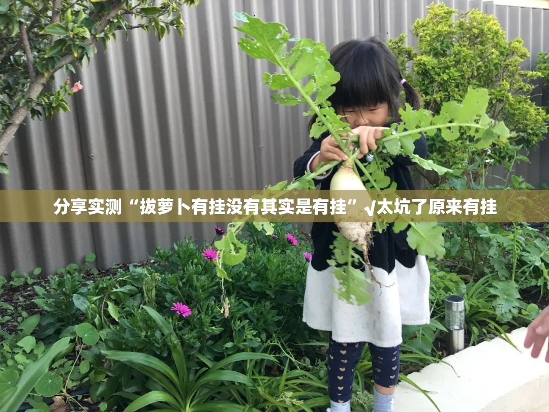 分享实测“拔萝卜有挂没有其实是有挂”√太坑了原来有挂