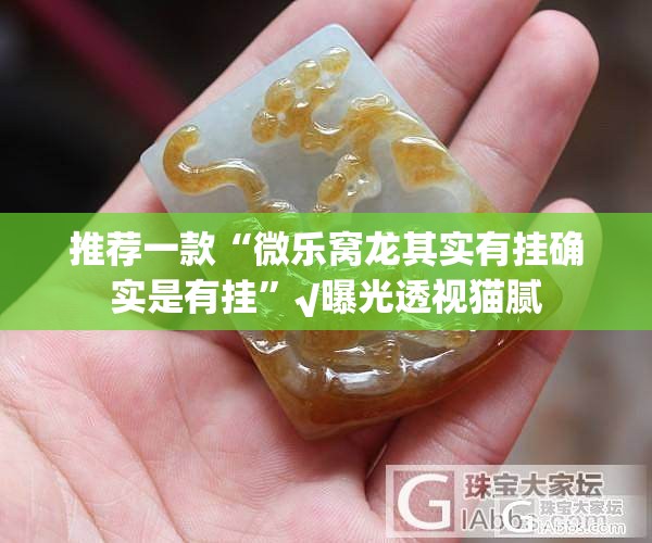 推荐一款“微乐窝龙其实有挂确实是有挂”√曝光透视猫腻