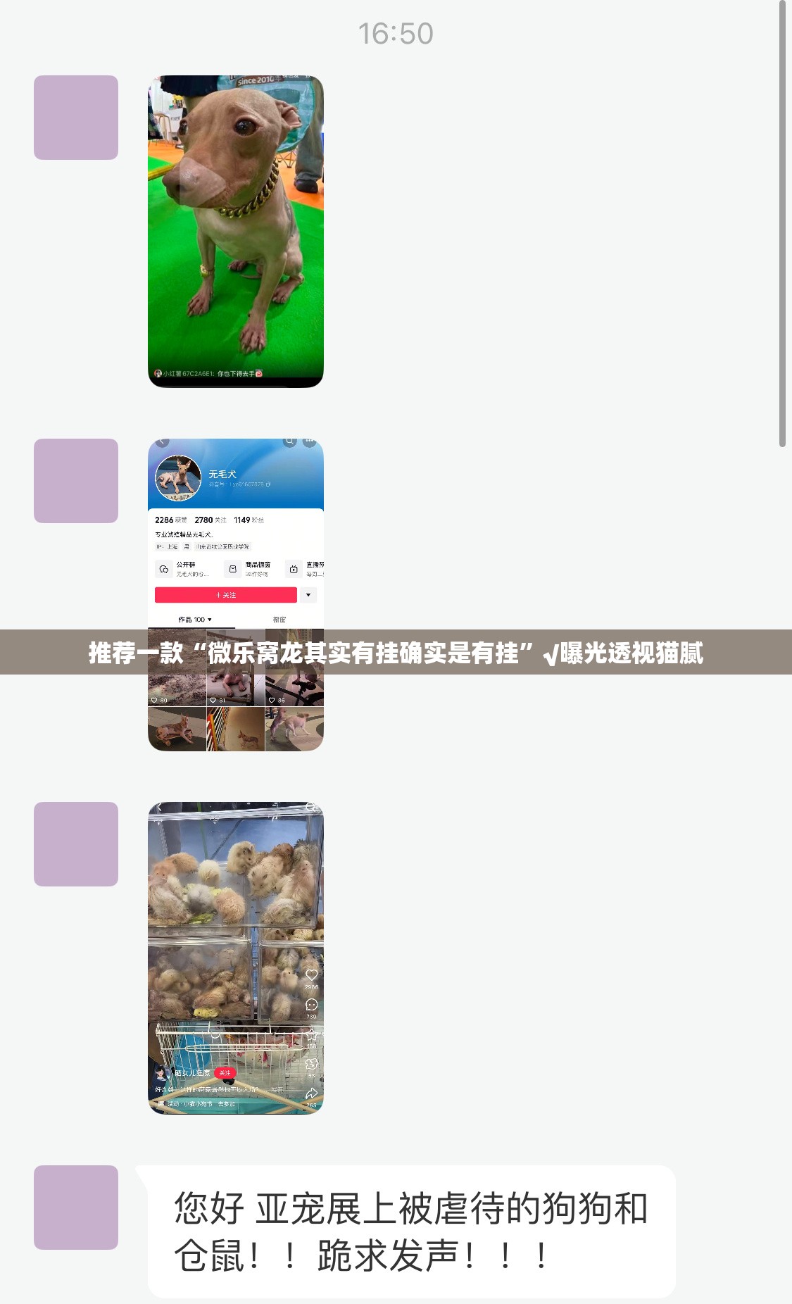 推荐一款“微乐窝龙其实有挂确实是有挂”√曝光透视猫腻