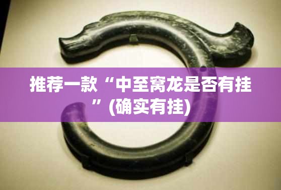 推荐一款“中至窝龙是否有挂”(确实有挂)