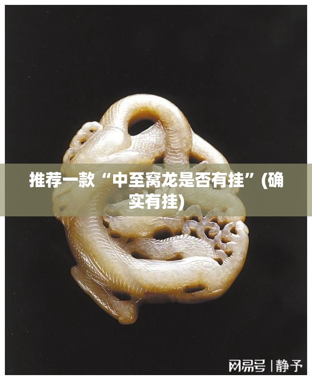 推荐一款“中至窝龙是否有挂”(确实有挂)