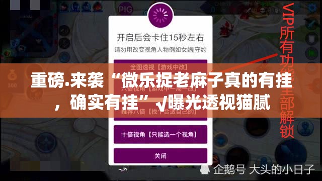 重磅.来袭“微乐捉老麻子真的有挂，确实有挂”√曝光透视猫腻