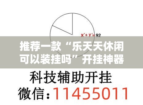 推荐一款“乐天天休闲可以装挂吗”开挂神器