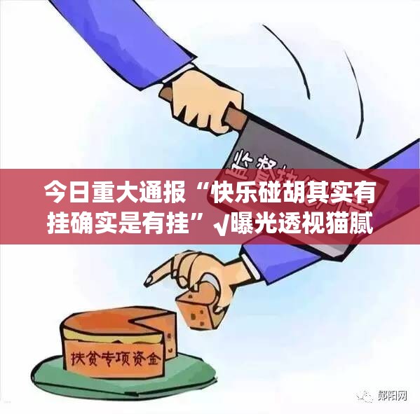 今日重大通报“快乐碰胡其实有挂确实是有挂”√曝光透视猫腻