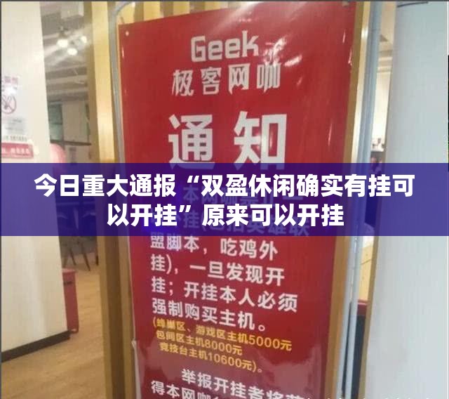 今日重大通报“双盈休闲确实有挂可以开挂”原来可以开挂