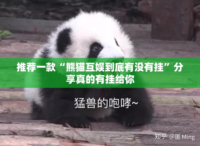 重大通报微乐捉老麻子开挂透视辅助软件其实有挂-知乎