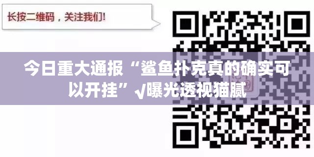 今日重大通报“鲨鱼扑克真的确实可以开挂”√曝光透视猫腻