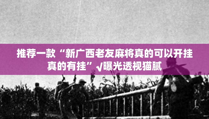 分享实测“浙衢麻将到底有没有透视挂”2025（果然有挂）