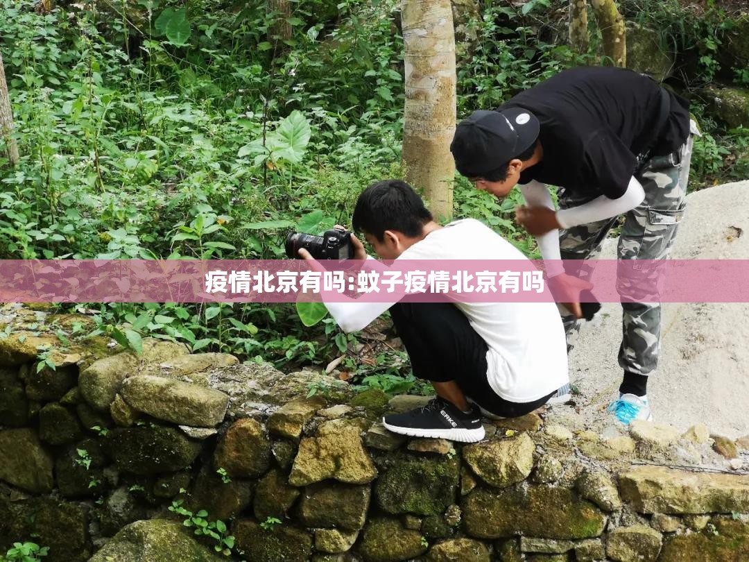 分享实测新玉海楼茶苑外卦神器是真的吗”果然有挂