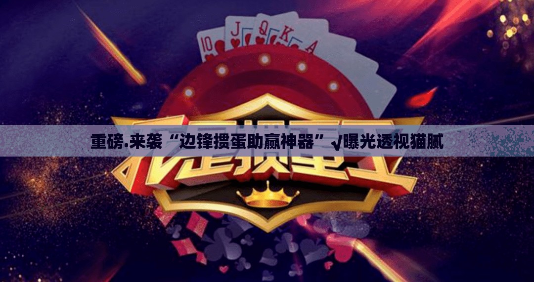 重磅.来袭“边锋掼蛋助赢神器”√曝光透视猫腻