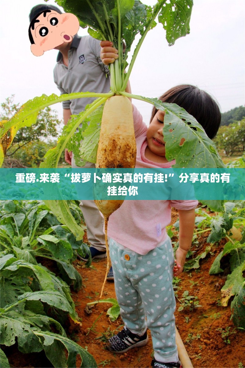 上海北京防疫政策,精准防控与城市治理现代化探索 上海北京防疫政策,精准防控与城市治理现代化探索