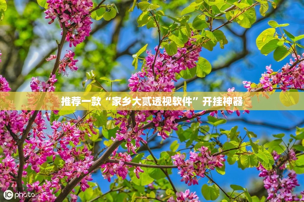 分享实测来趣广西麻将有挂稳赢方法原来可以开挂 分享实测来趣广西麻将有挂稳赢方法原来可以开挂