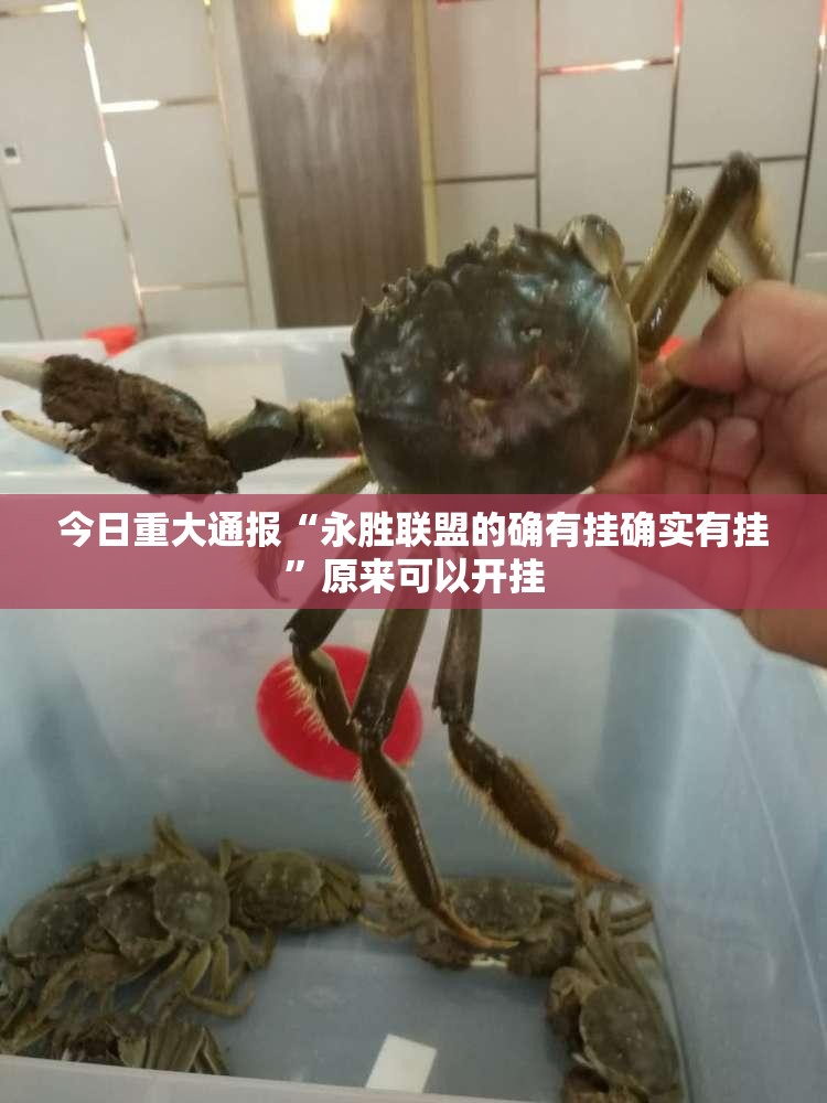 分享实测“新金龙挂!详细开挂教程”其实有挂-知乎 分享实测“新金龙挂!详细开挂教程”其实有挂-知乎