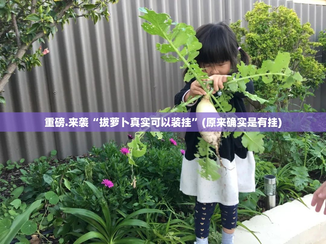 重磅.来袭“拔萝卜真实可以装挂”(原来确实是有挂)