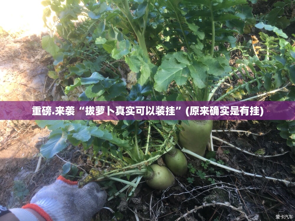 分享实测中至余干有挂没有其实是有挂@太坑了真的有挂