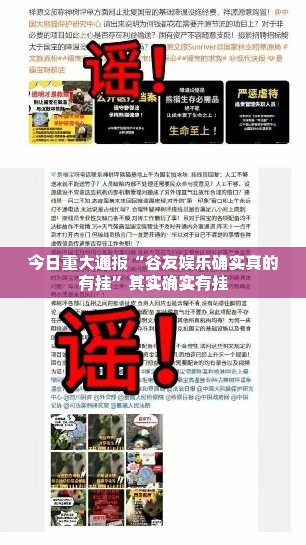 重磅.来袭八喜休闲确实有透视挂(确实有挂)