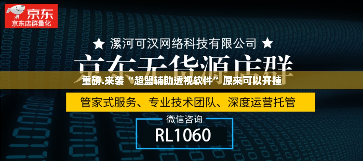 重磅.来袭“超盟辅助透视软件”原来可以开挂