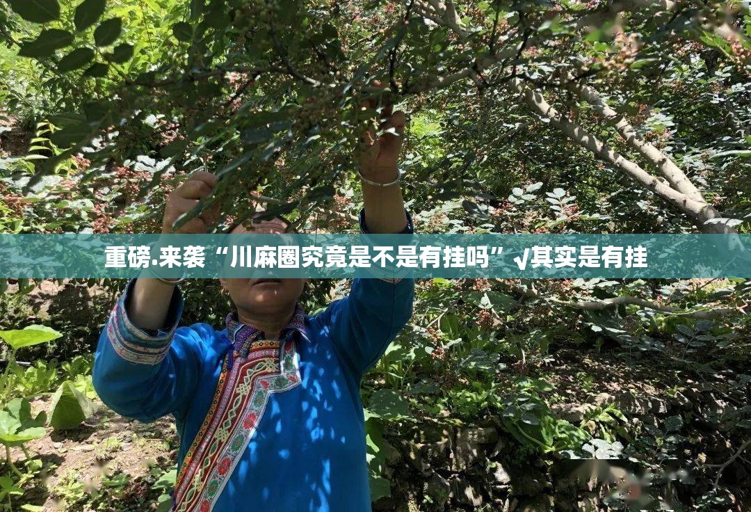 重磅.来袭“川麻圈究竟是不是有挂吗”√其实是有挂
