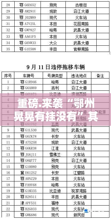 重磅.来袭“鄂州晃晃有挂没有”其实确实有挂
