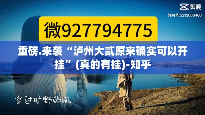 重磅.来袭越乡游麻将有挂是真的真的确实有挂