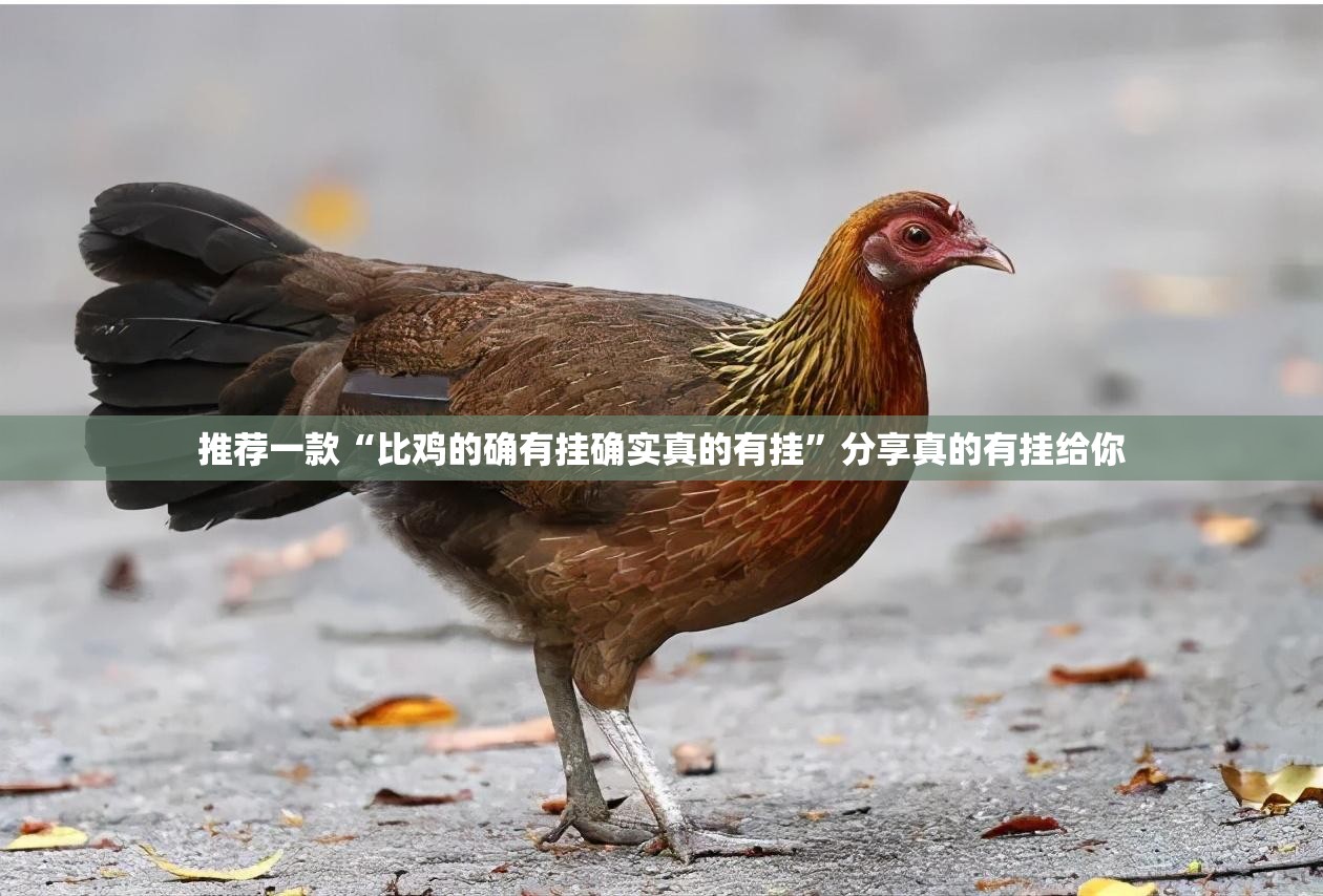 今日重大通报欢乐龙城棋牌真的有挂吗√曝光透视猫腻