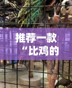 分享实测鑫耀互娱确实真的有挂!√曝光透视猫腻 分享实测鑫耀互娱确实真的有挂!√曝光透视猫腻