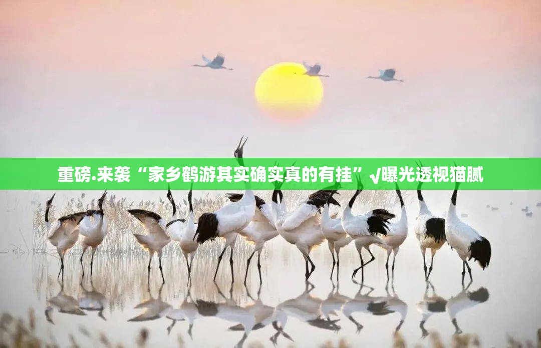 重磅.来袭宝莲灯怎么开挂实测确实有挂