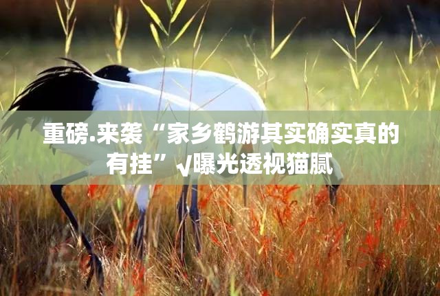 重大通报五彩茶馆确实真的有挂!√确实真的有挂