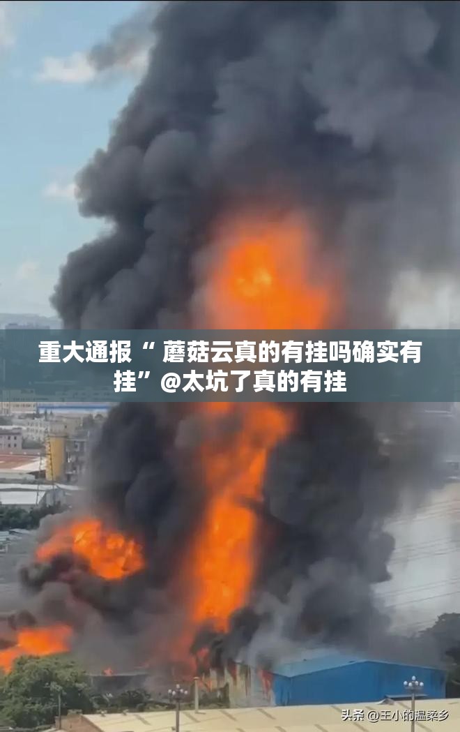 分享实测闲娱江西棋牌透视辅助挂2025(果然有挂) 分享实测闲娱江西棋牌透视辅助挂2025(果然有挂)