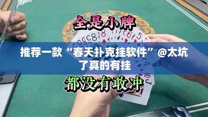 推荐一款“春天扑克挂软件”@太坑了真的有挂