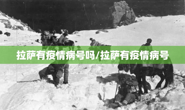重磅.来袭金钻棋牌其实是可以开挂!确实能开挂实测确实有挂