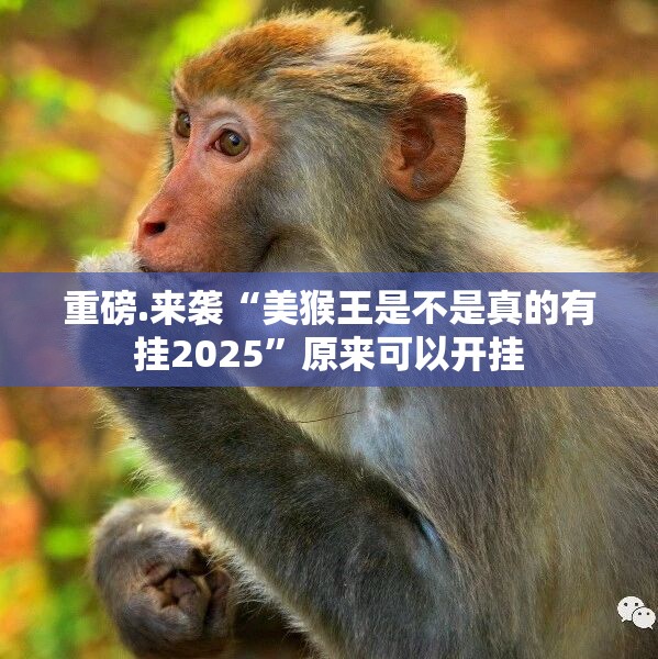 重磅.来袭“美猴王是不是真的有挂2025”原来可以开挂