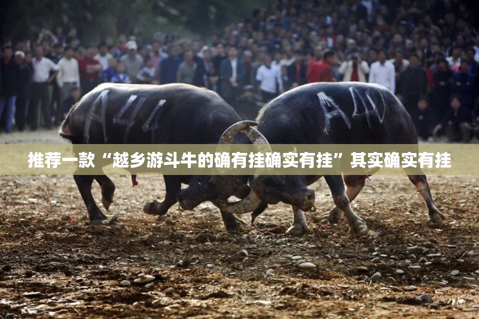 重大通报“天天欢乐德州其实能开挂吗”2025(果然有挂) 重大通报“天天欢乐德州其实能开挂吗”2025(果然有挂)