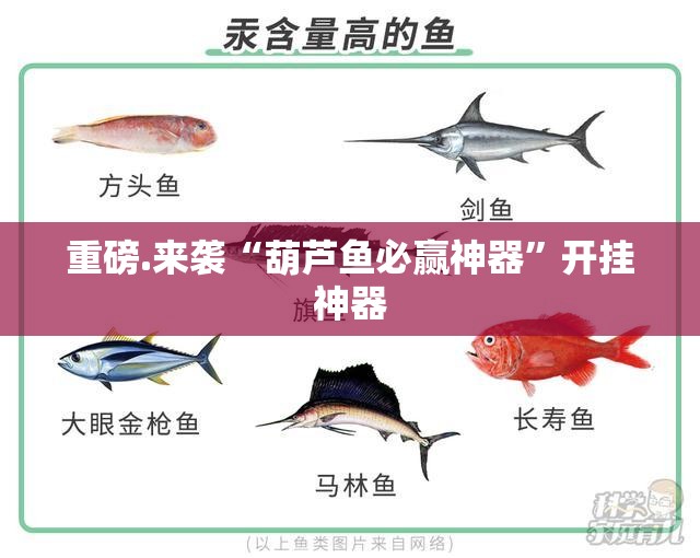 重磅.来袭“葫芦鱼必赢神器”开挂神器