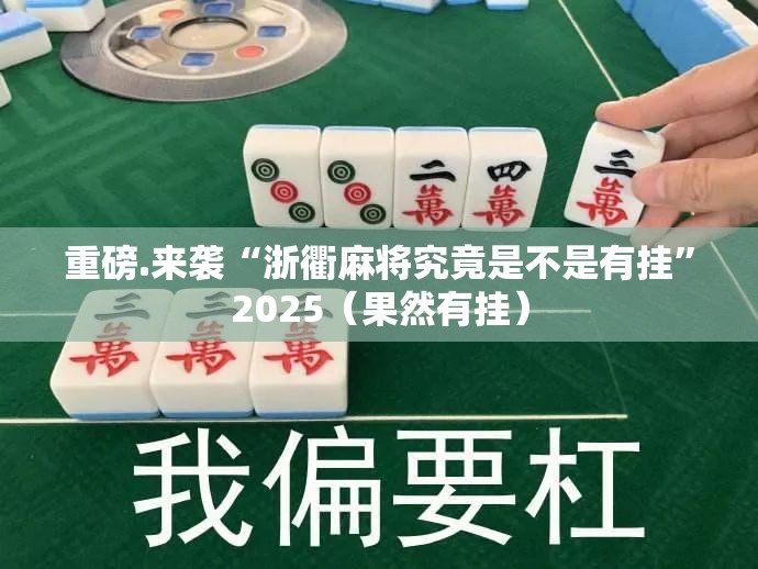 重磅.来袭“浙衢麻将究竟是不是有挂”2025（果然有挂）