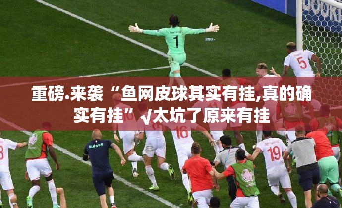 今日重大通报中至武宁双扣辅助软件实测确实有挂
