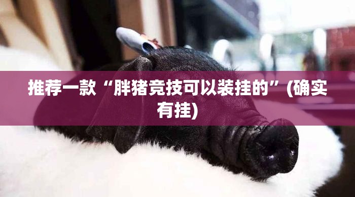 推荐一款“胖猪竞技可以装挂的”(确实有挂)