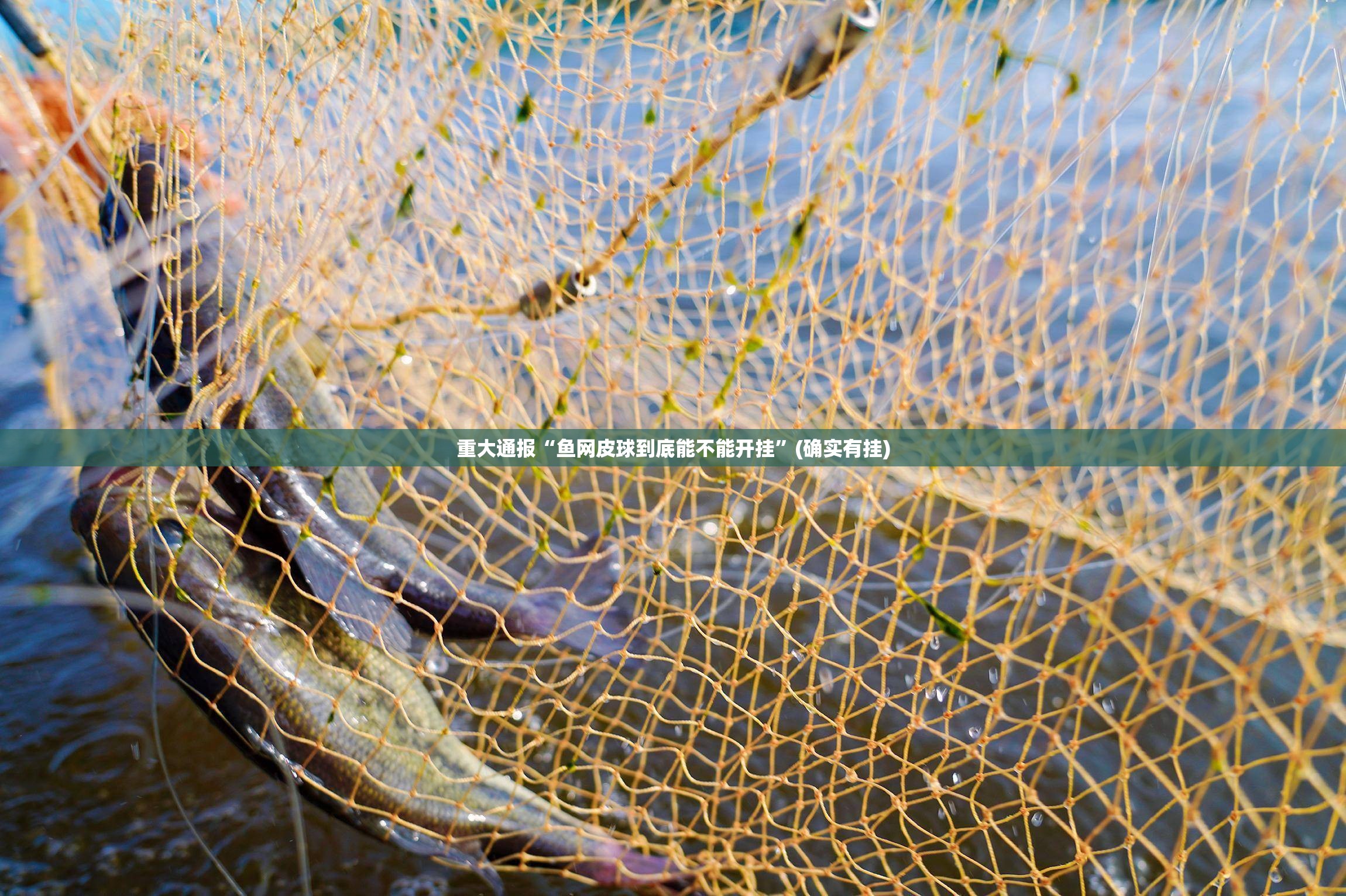 今日重大通报“好运娱乐可以装挂吗”开挂神器