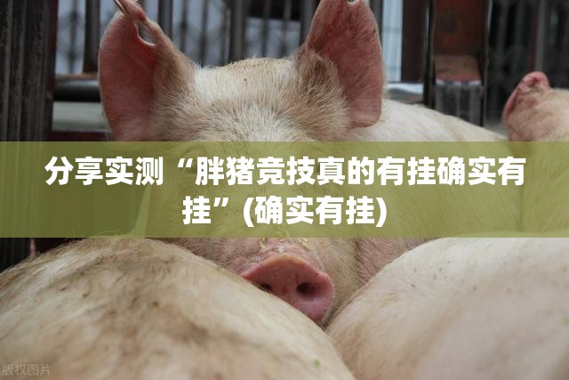 推荐一款南通长牌有透视挂吗√其实是有挂