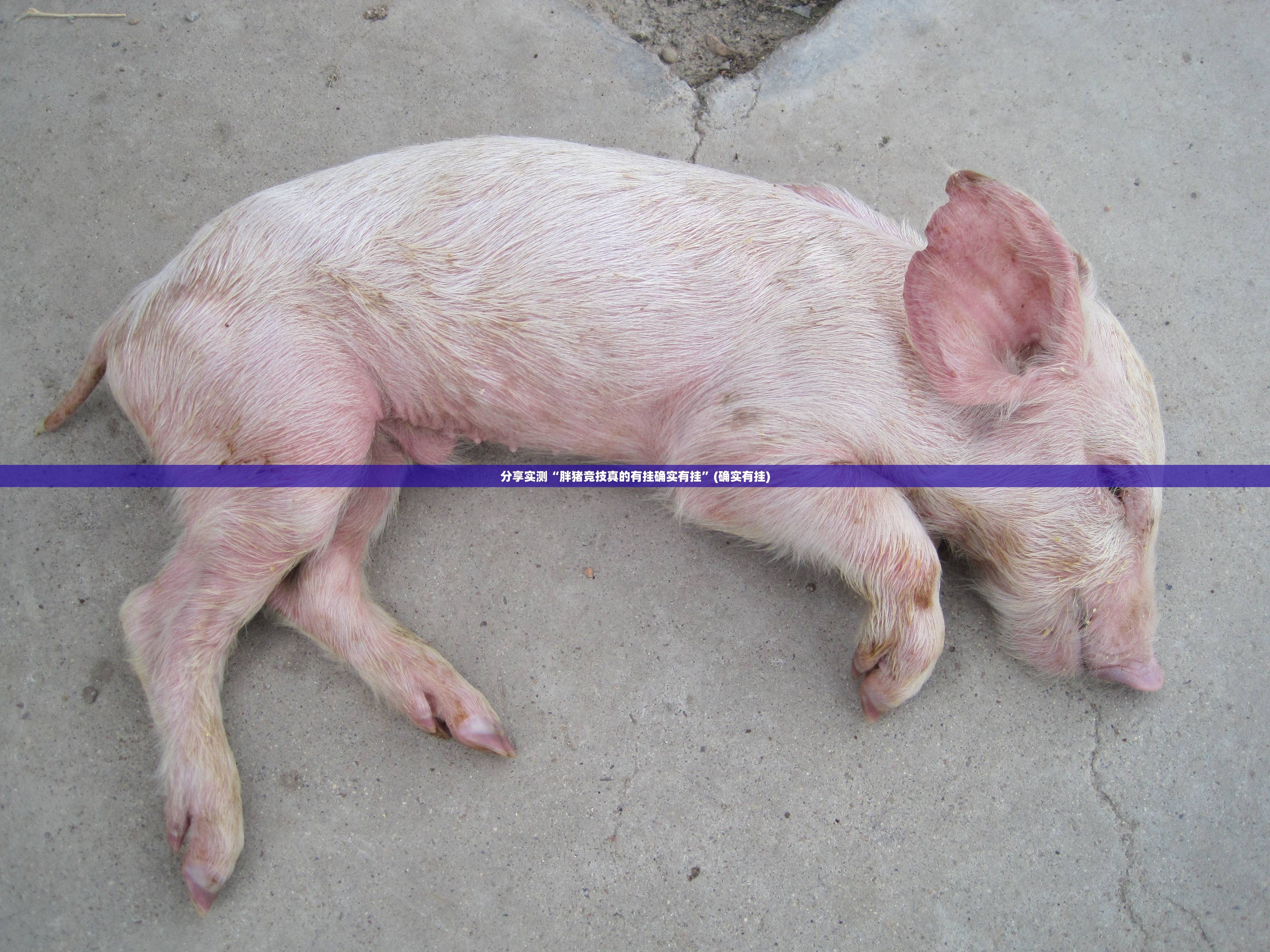 重磅.来袭中至窝龙开挂透视教程√曝光透视猫腻 重磅.来袭中至窝龙开挂透视教程√曝光透视猫腻